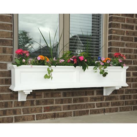 Amazon.com: Window Box Frames